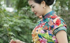 大尺寸的小黄说字多肉办公室